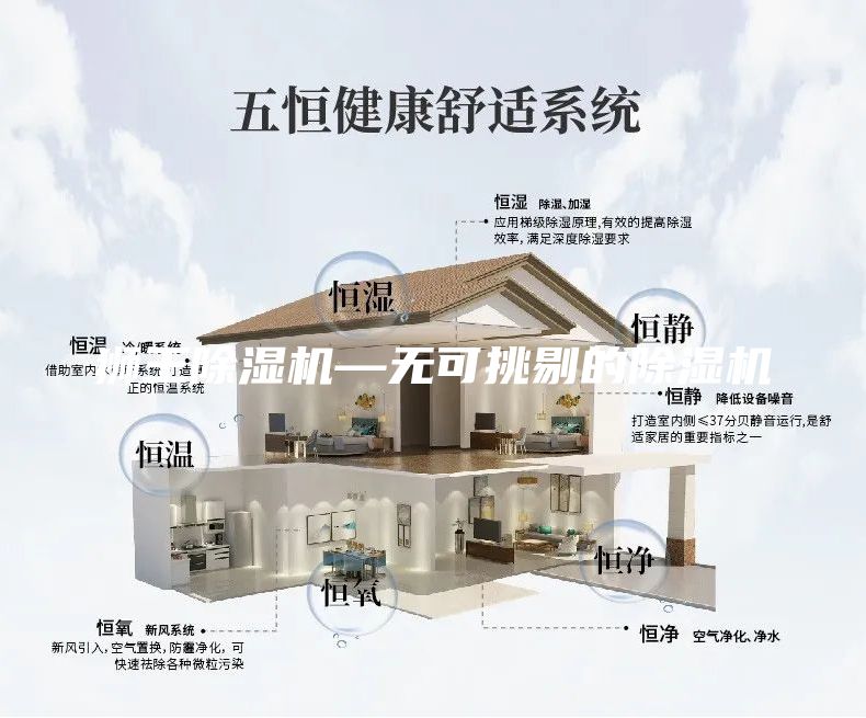狮王除湿机—无可挑剔的除湿机