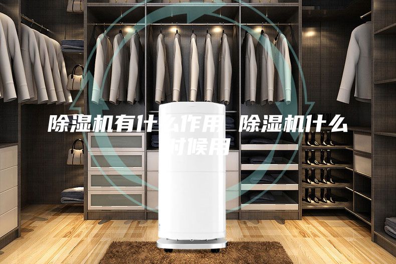 除湿机有什么作用 除湿机什么时候用