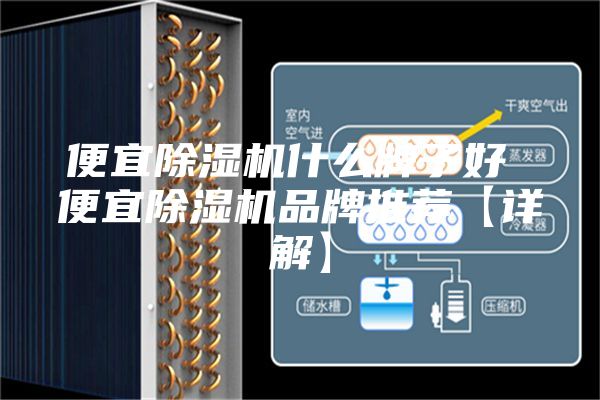 便宜除湿机什么牌子好 便宜除湿机品牌推荐【详解】