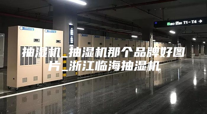 抽湿机_抽湿机那个品牌好图片_浙江临海抽湿机