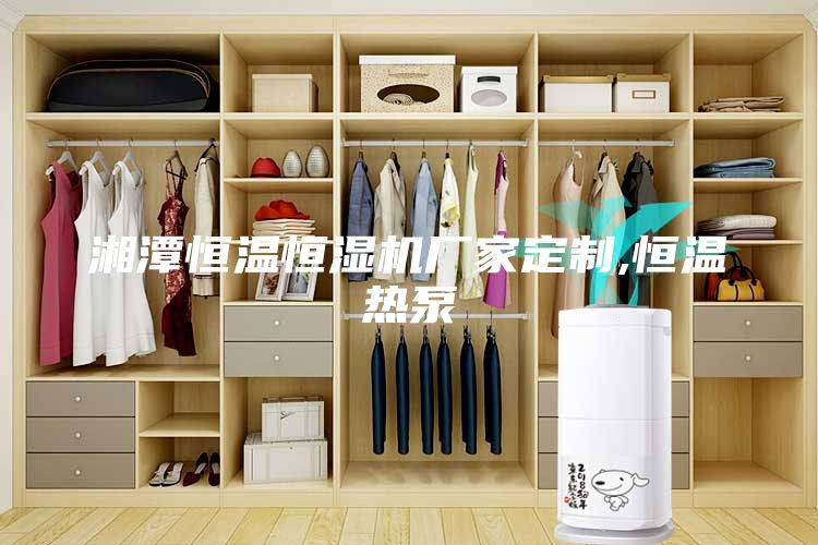 湘潭恒温恒湿机厂家定制,恒温热泵