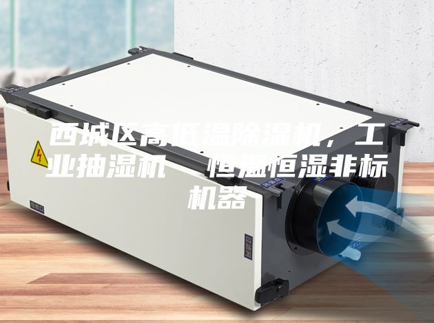 西城区高低温除湿机，工业抽湿机  恒温恒湿非标机器