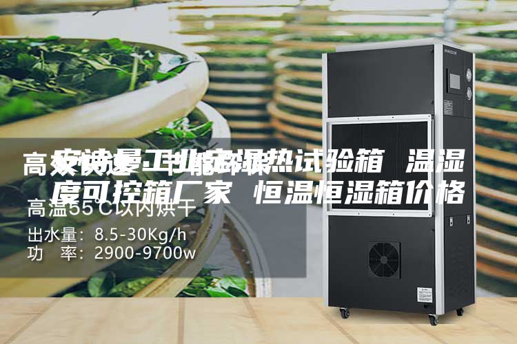 安诗曼工业定湿热试验箱 温湿度可控箱厂家 恒温恒湿箱价格