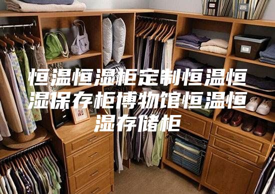 恒温恒湿柜定制恒温恒湿保存柜博物馆恒温恒湿存储柜