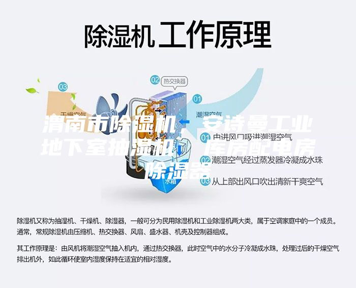 渭南市除湿机，安诗曼工业地下室抽湿机  库房配电房除湿器