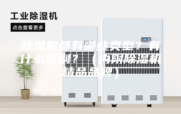 除湿机都有哪些类型？有什么区别？（内附除湿机精品品牌）