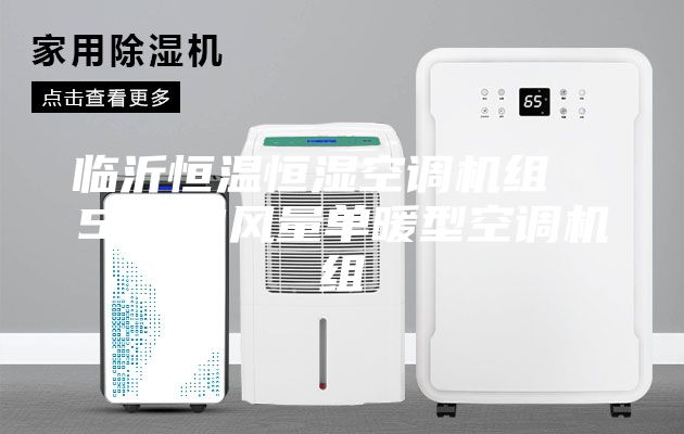 临沂恒温恒湿空调机组  5000风量单暖型空调机组