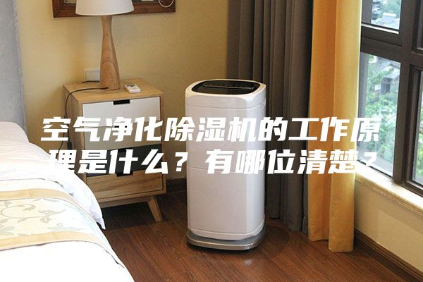 空气净化除湿机的工作原理是什么？有哪位清楚？