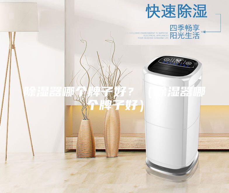 除湿器哪个牌子好？（除湿器哪个牌子好）