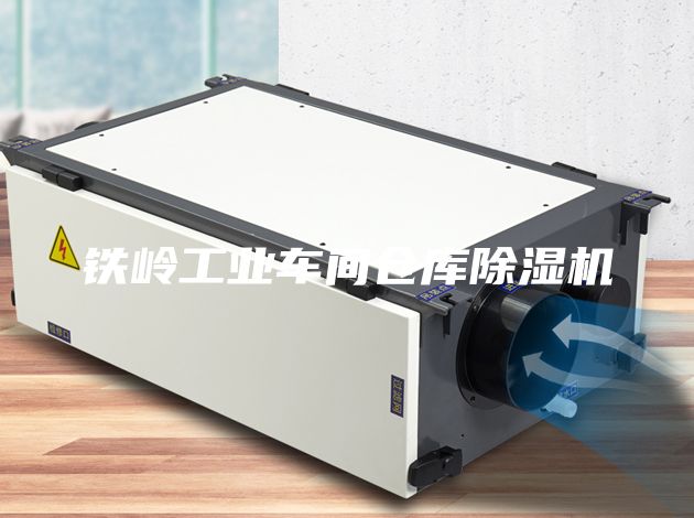 铁岭工业车间仓库除湿机