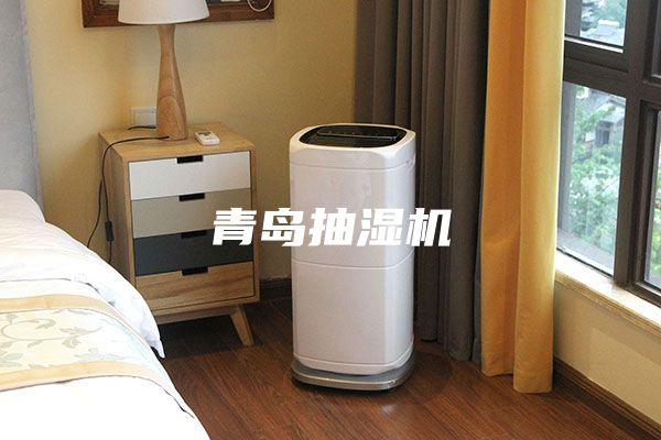 青岛抽湿机