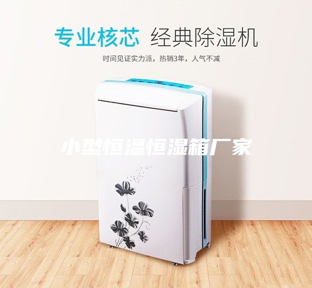 小型恒温恒湿箱厂家