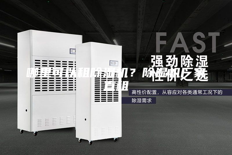 哪里可以租除湿机？除湿机厂家直租