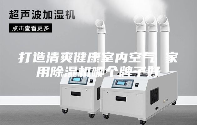 打造清爽健康室内空气 家用除湿机哪个牌子好
