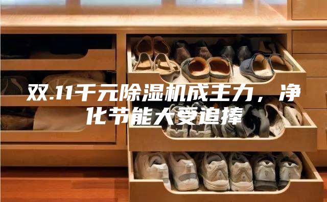 双.11千元除湿机成主力，净化节能大受追捧