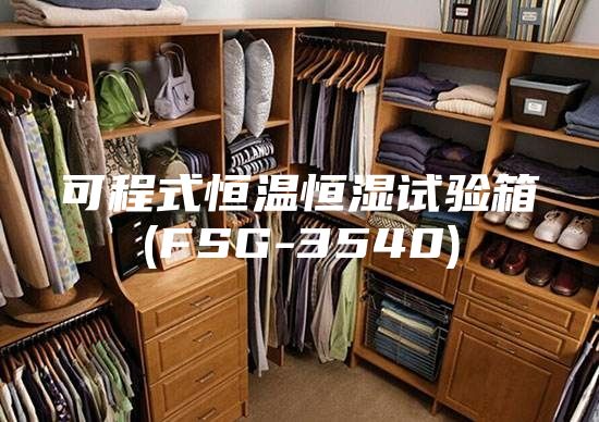 可程式恒温恒湿试验箱(FSG-3540)