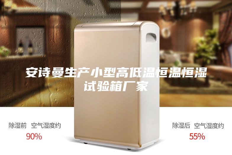 安诗曼生产小型高低温恒温恒湿试验箱厂家