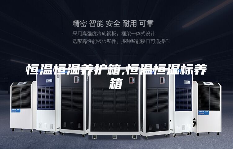 恒温恒湿养护箱,恒温恒湿标养箱