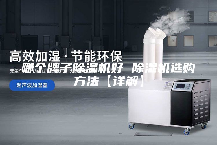 哪个牌子除湿机好 除湿机选购方法【详解】