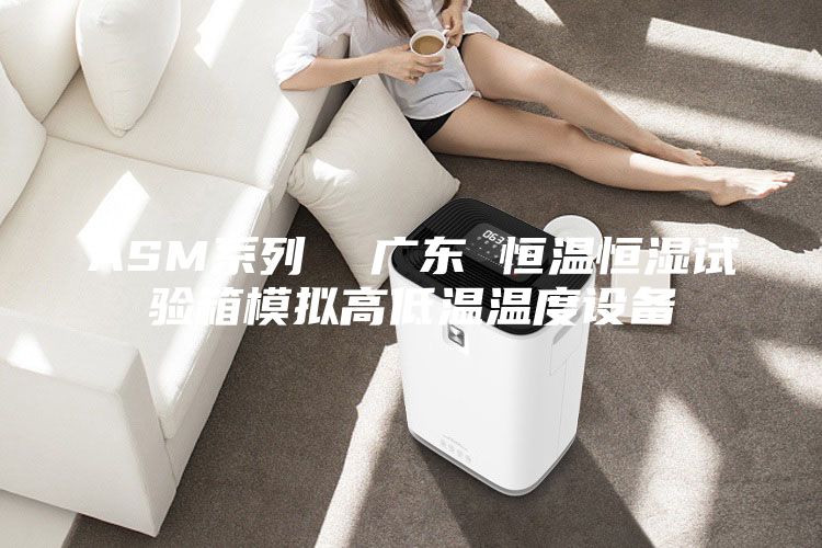 ASM系列  广东 恒温恒湿试验箱模拟高低温温度设备
