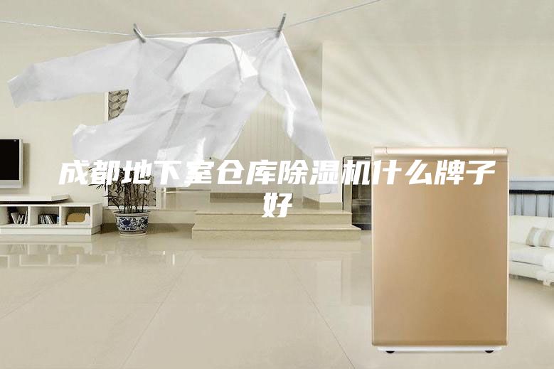 成都地下室仓库除湿机什么牌子好