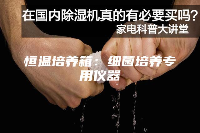 恒温培养箱：细菌培养专用仪器