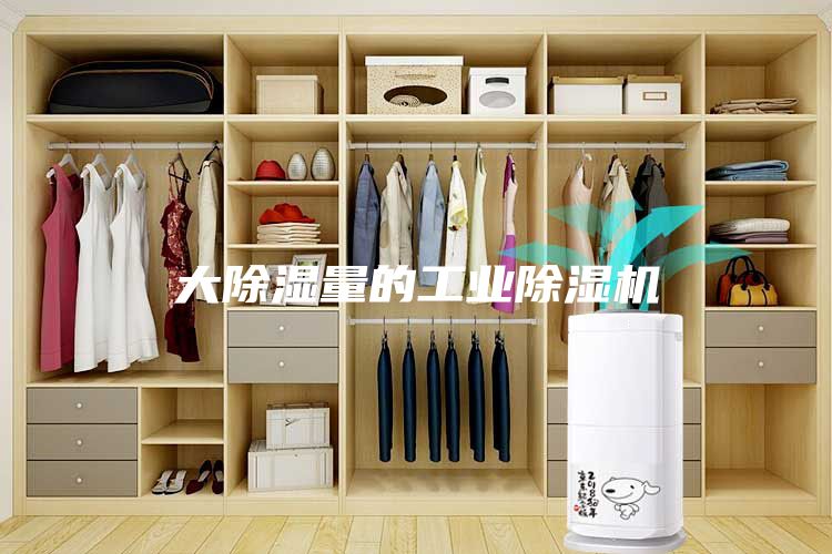 大除湿量的工业除湿机