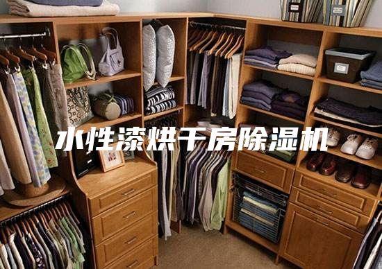水性漆烘干房除湿机