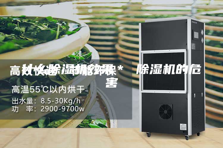 什么除湿机效果＊ 除湿机的危害