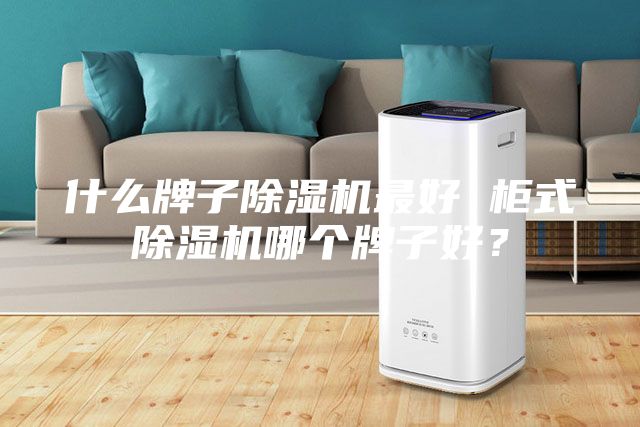 什么牌子除湿机最好 柜式除湿机哪个牌子好？