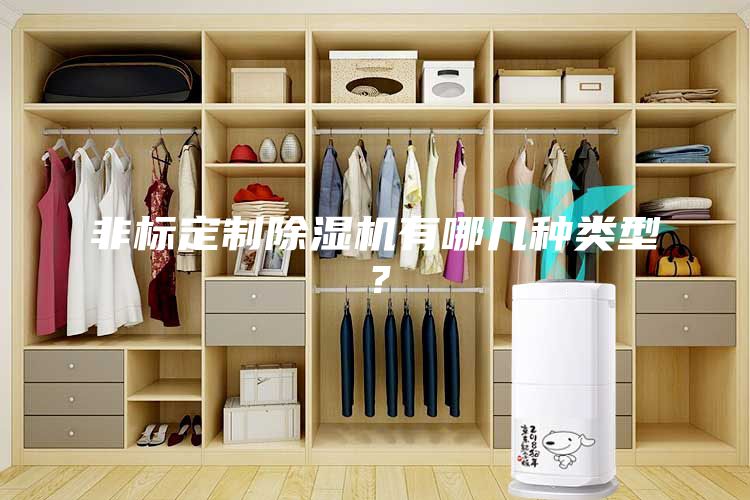 非标定制除湿机有哪几种类型？