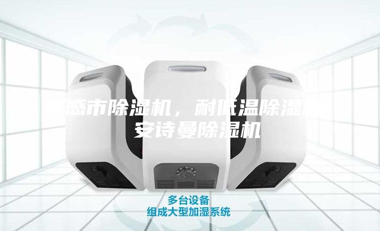 孝感市除湿机，耐低温除湿机  安诗曼除湿机