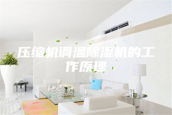 压缩机调温除湿机的工作原理
