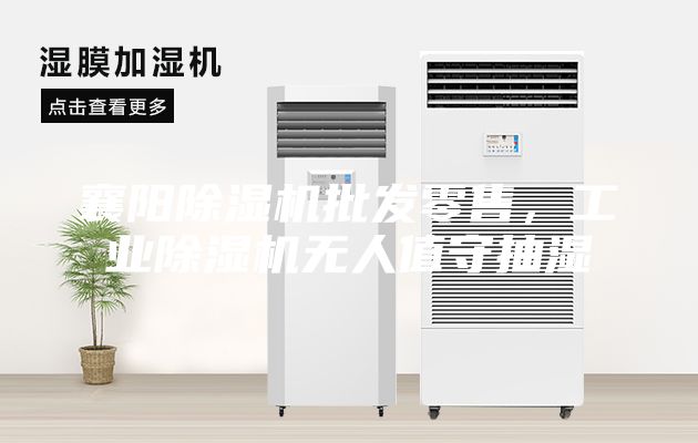 襄阳除湿机批发零售，工业除湿机无人值守抽湿