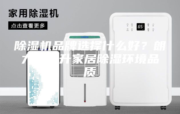 除湿机品牌选择什么好？朗力信提升家居除湿环境品质