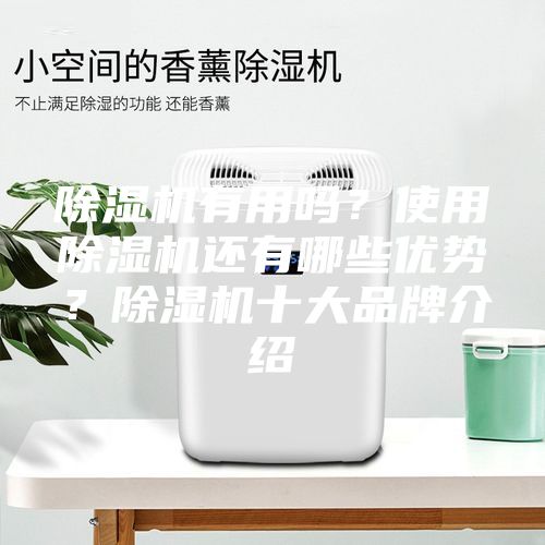 除湿机有用吗？使用除湿机还有哪些优势？除湿机十大品牌介绍