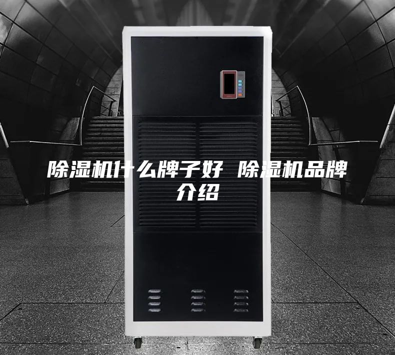 除湿机什么牌子好 除湿机品牌介绍