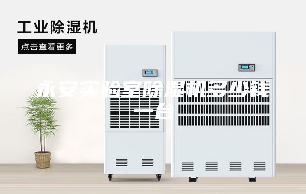 永安实验室除湿机多少钱一台