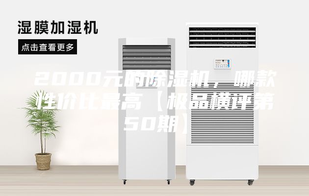 2000元的除湿机，哪款性价比最高【极品横评第50期】