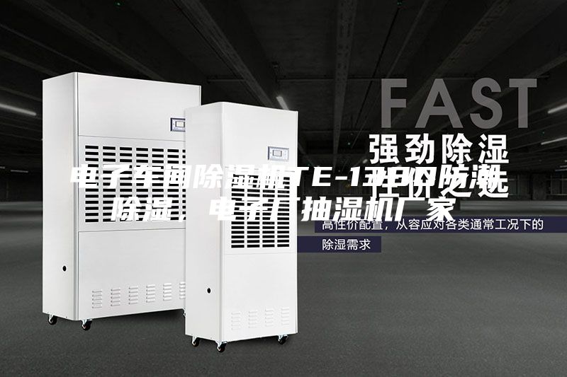 电子车间除湿机TE-138D防潮除湿，电子厂抽湿机厂家