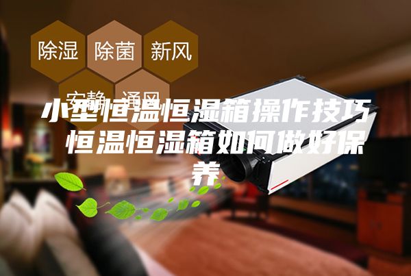 小型恒温恒湿箱操作技巧 恒温恒湿箱如何做好保养
