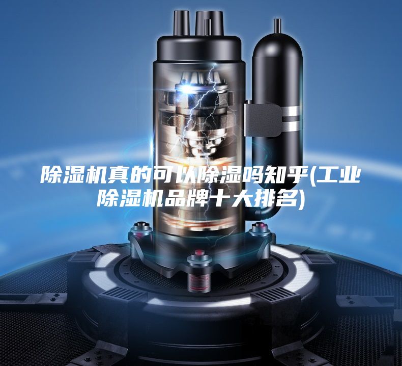 除湿机真的可以除湿吗知乎(工业除湿机品牌十大排名)
