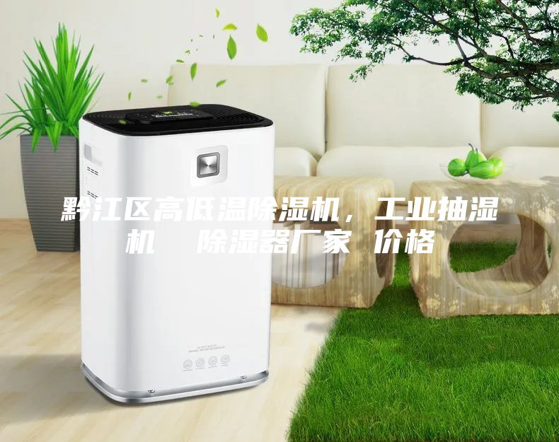 黔江区高低温除湿机，工业抽湿机  除湿器厂家 价格
