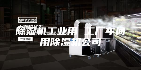 除湿机工业用 工厂车间用除湿机公司