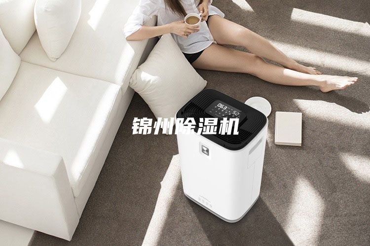 锦州除湿机