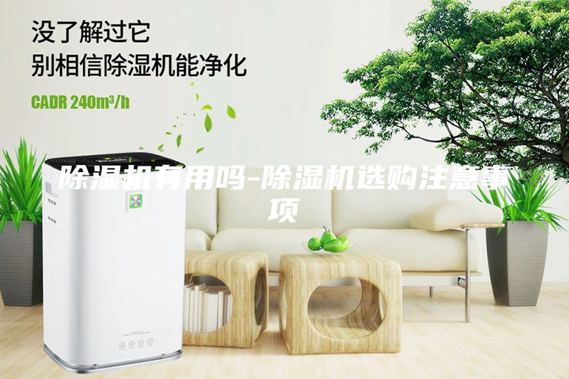 除湿机有用吗-除湿机选购注意事项
