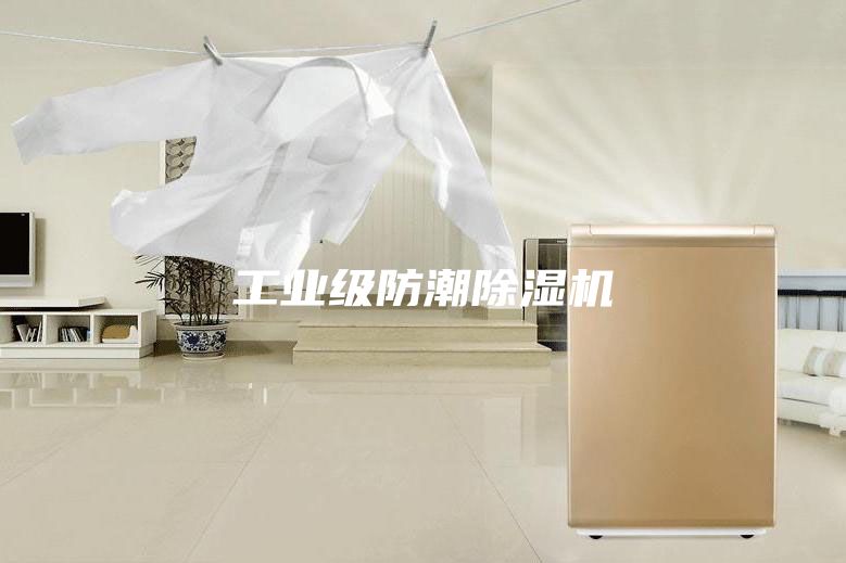 工业级防潮除湿机