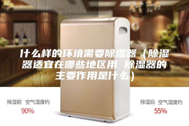 什么样的环境需要除湿器（除湿器适宜在哪些地区用 除湿器的主要作用是什么）