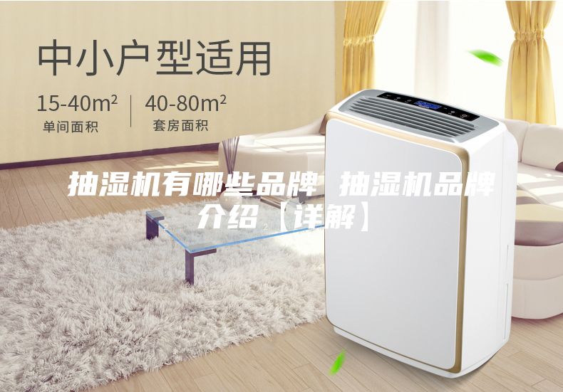 抽湿机有哪些品牌 抽湿机品牌介绍【详解】