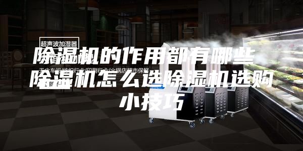 除湿机的作用都有哪些 除湿机怎么选除湿机选购小技巧